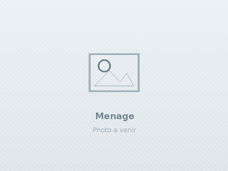 Menage quotidien